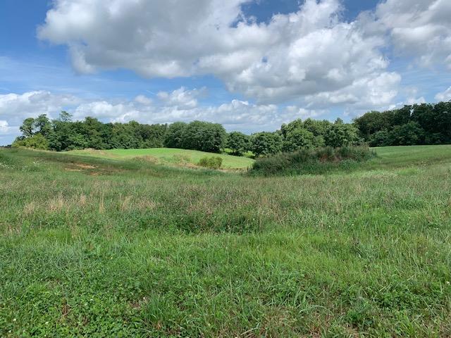 686 Basham Road Altamont, TN 37301 - Photo 73 of 87 IMG_4522 (1)
