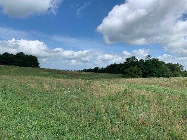 686 Basham Road Altamont, TN 37301 - Photo 75 of 87 IMG_4523 (1)