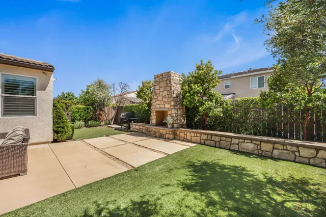 a view of a backyard with plants and a tree