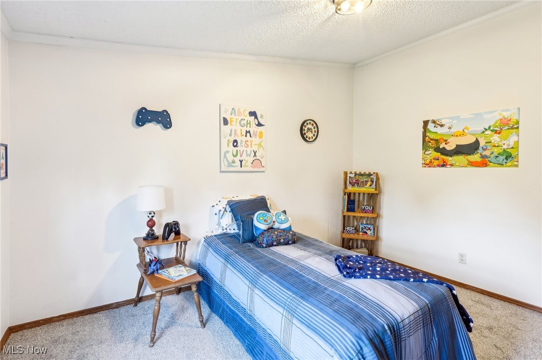 8307 Slagle Road Windham, OH 44288 - Photo 22 of 39 Carpeted bedroom with baseboards, ornamental molding, and a textured ceiling