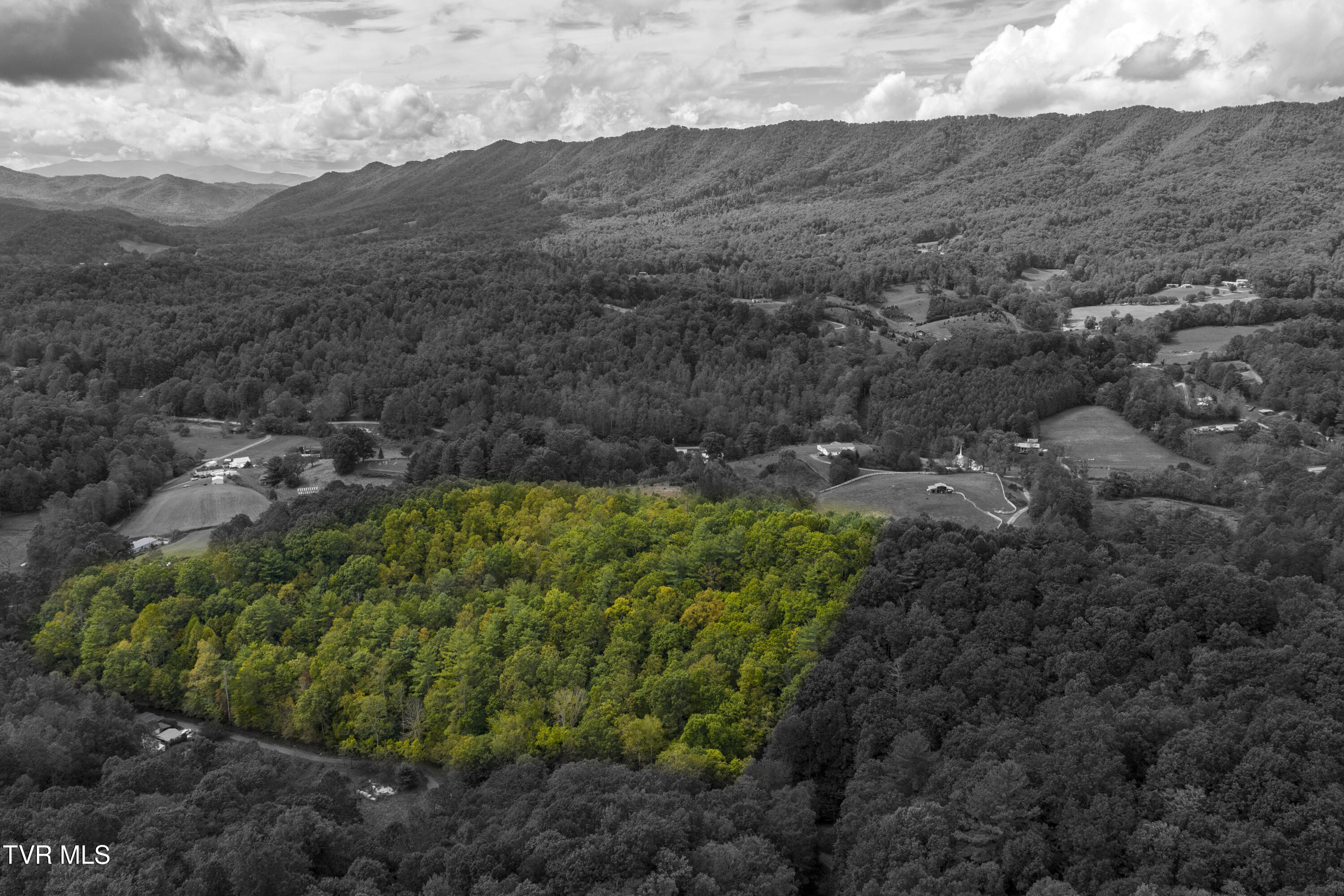 Tbd Tolley Road Unicoi, TN 37692 - Photo 2 of 17 RobertTolley-Aerials-Boundary1-1