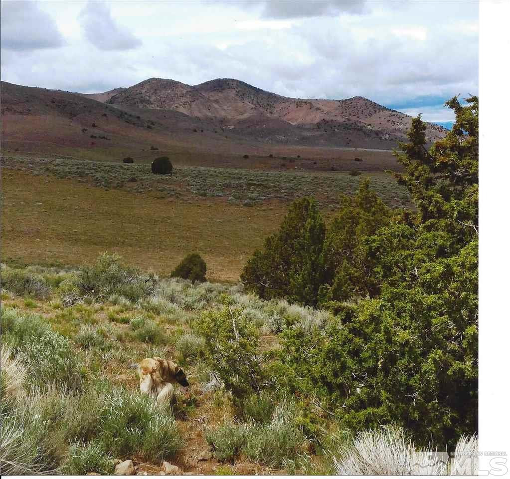 0 Palomino Valley Reno, NV 89510 - Photo 3 of 14 Photo 3