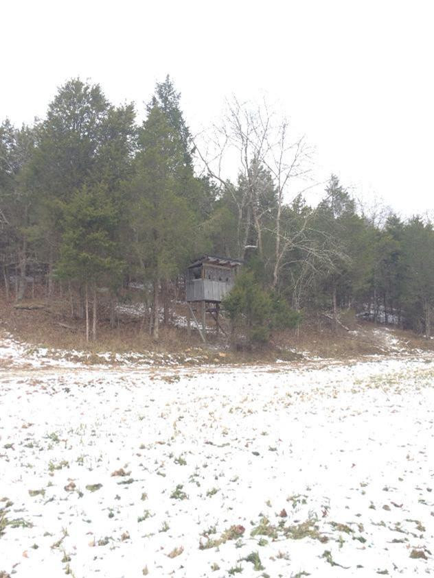 0 Keefer Lawrenceville Road Corinth, KY 41010 - Photo 15 of 29