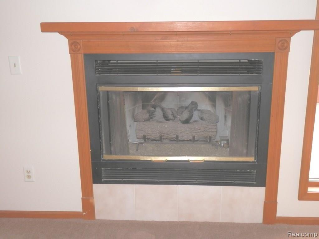 3730 Zink Road Carleton, MI 48117 - Photo 7 of 22 Zink 3730 LR.JPG