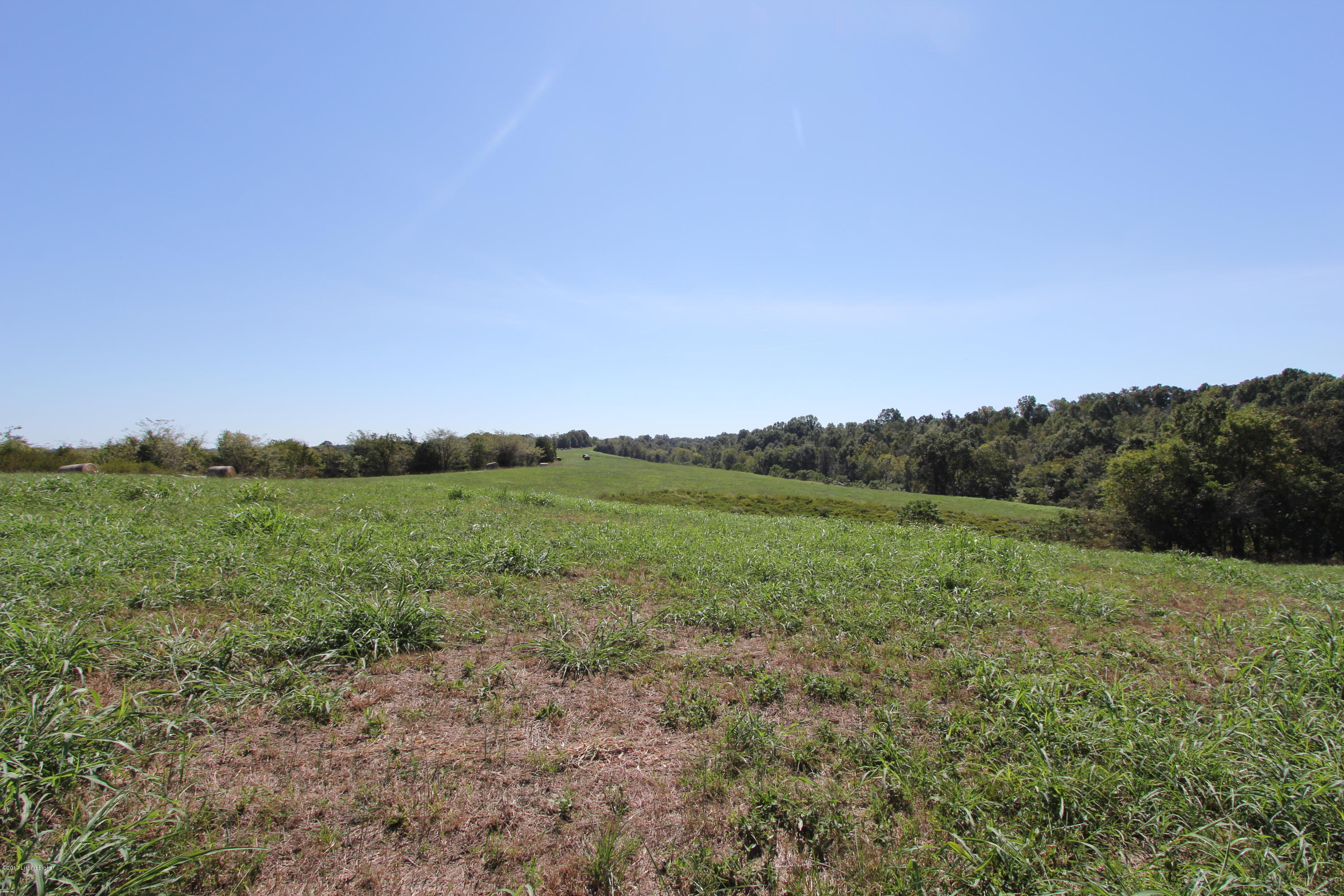 1500 Aaron Barnett Road Lawrenceburg, KY 40342 - Photo 28 of 39 IMG_8020