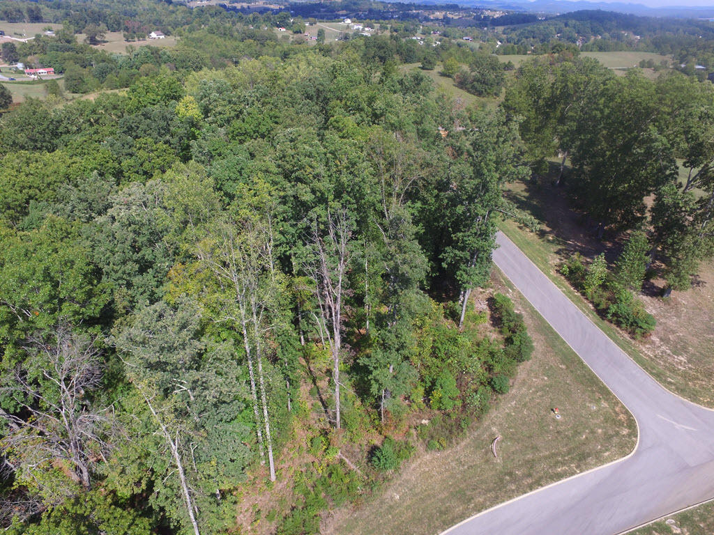 Lot 133 Tumbleweed Trail Rutledge, TN 37861 - Photo 1 of 14 1
