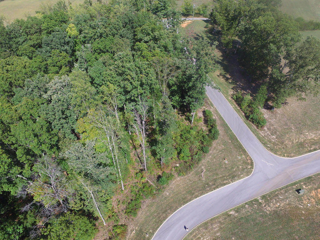 Lot 133 Tumbleweed Trail Rutledge, TN 37861 - Photo 2 of 14 2