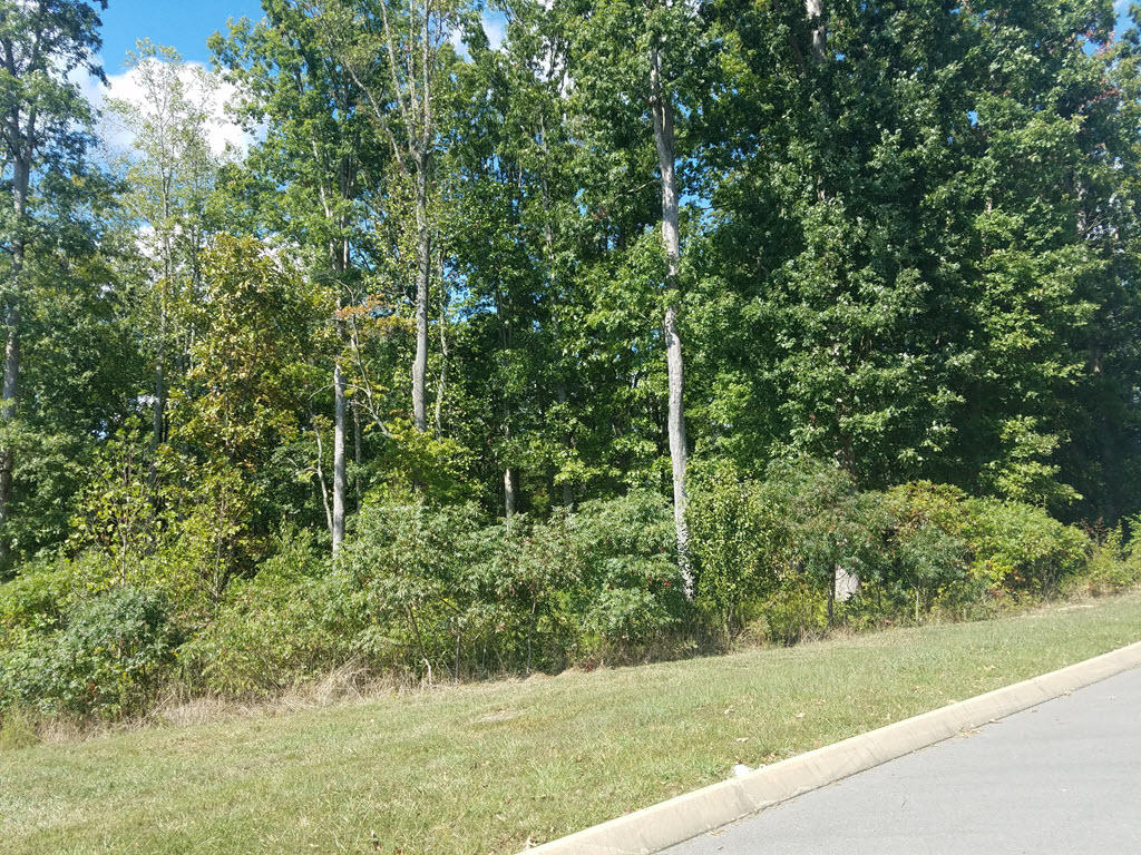 Lot 133 Tumbleweed Trail Rutledge, TN 37861 - Photo 11 of 14 2016-10-01 14.28.41