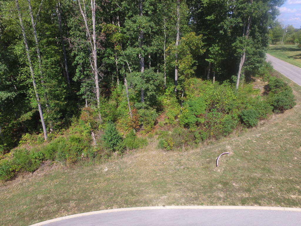 Lot 133 Tumbleweed Trail Rutledge, TN 37861 - Photo 13 of 14 DJI_0070