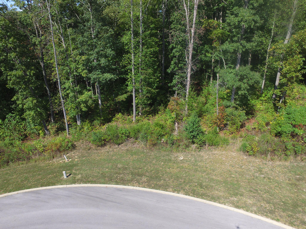 Lot 133 Tumbleweed Trail Rutledge, TN 37861 - Photo 3 of 14 3