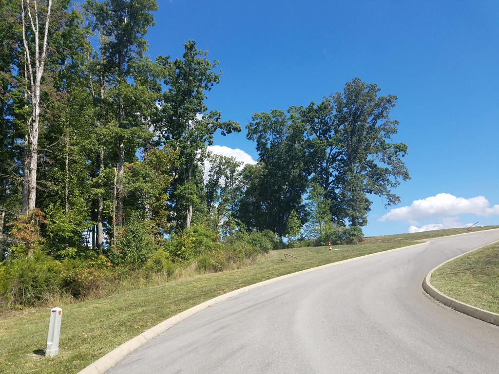 Lot 133 Tumbleweed Trail Rutledge, TN 37861 - Photo 4 of 14 2016-10-01 14.16.55