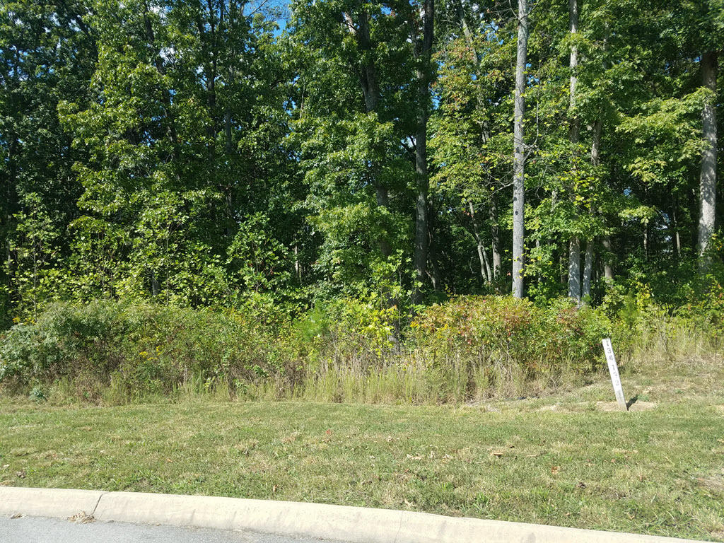 Lot 133 Tumbleweed Trail Rutledge, TN 37861 - Photo 5 of 14 2016-10-01 14.17.08