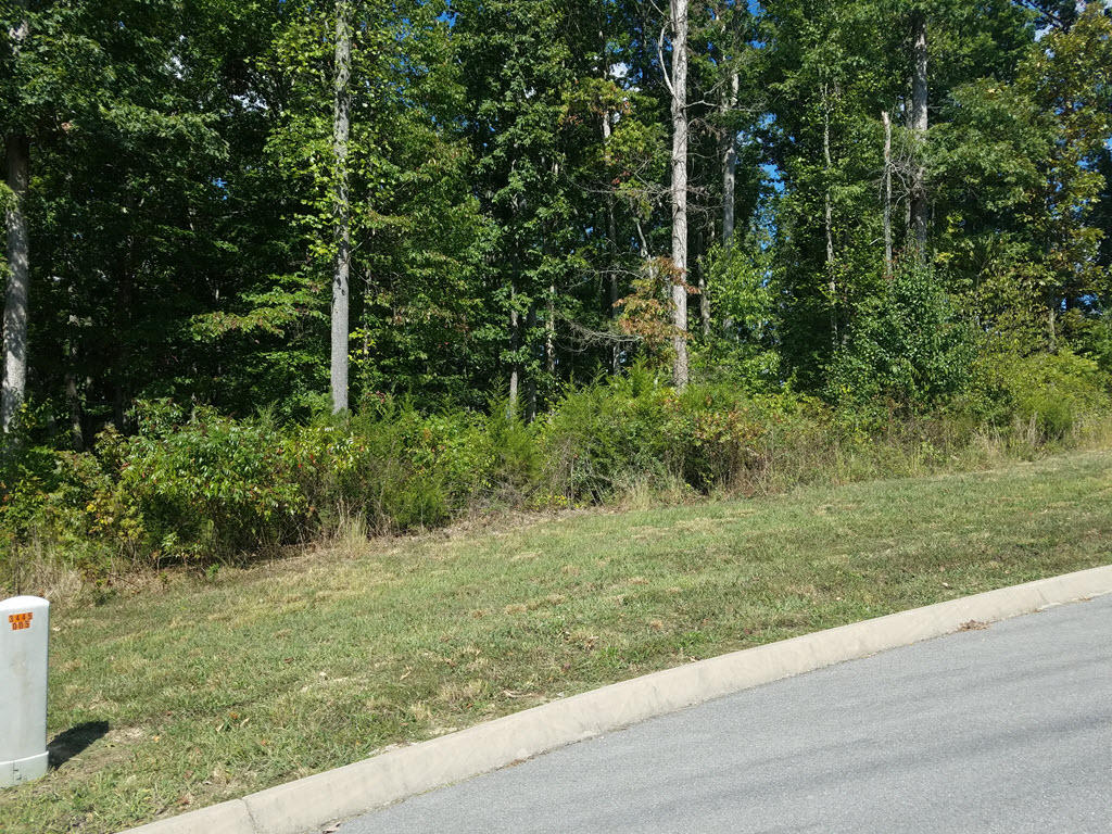 Lot 133 Tumbleweed Trail Rutledge, TN 37861 - Photo 6 of 14 2016-10-01 14.17.09