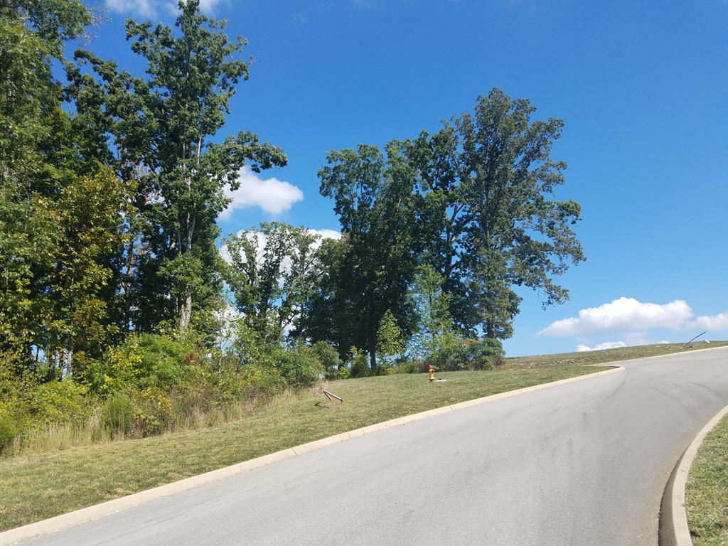 Lot 133 Tumbleweed Trail Rutledge, TN 37861 - Photo 7 of 14 2016-10-01 14.17.17