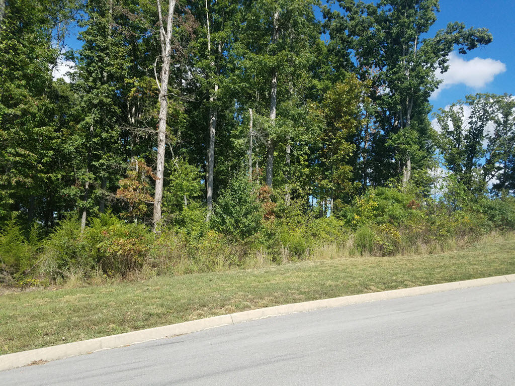 Lot 133 Tumbleweed Trail Rutledge, TN 37861 - Photo 8 of 14 2016-10-01 14.17.19