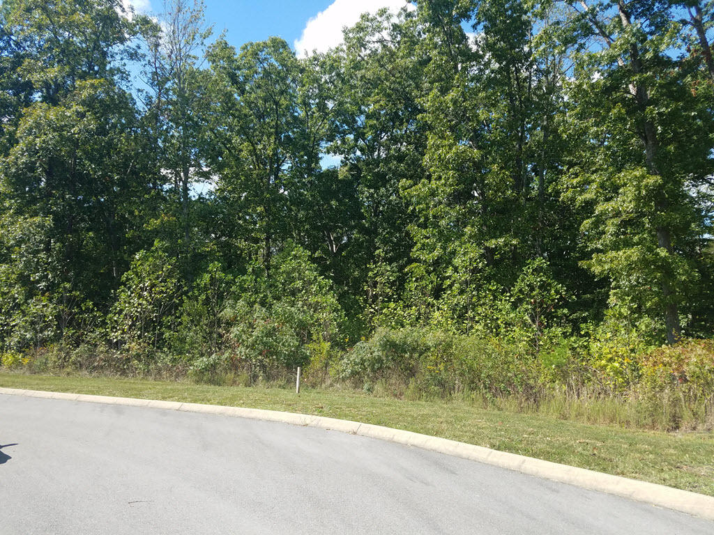 Lot 133 Tumbleweed Trail Rutledge, TN 37861 - Photo 9 of 14 2016-10-01 14.17.23