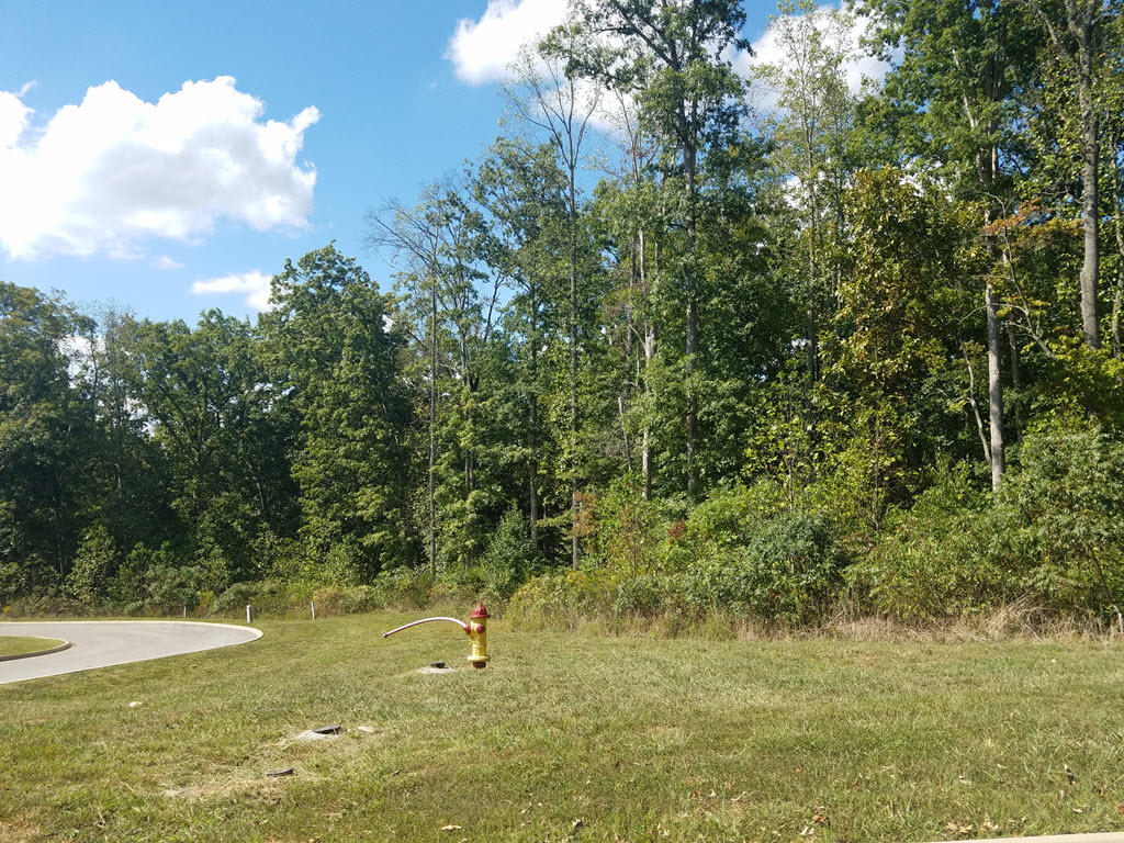Lot 133 Tumbleweed Trail Rutledge, TN 37861 - Photo 10 of 14 2016-10-01 14.28.39