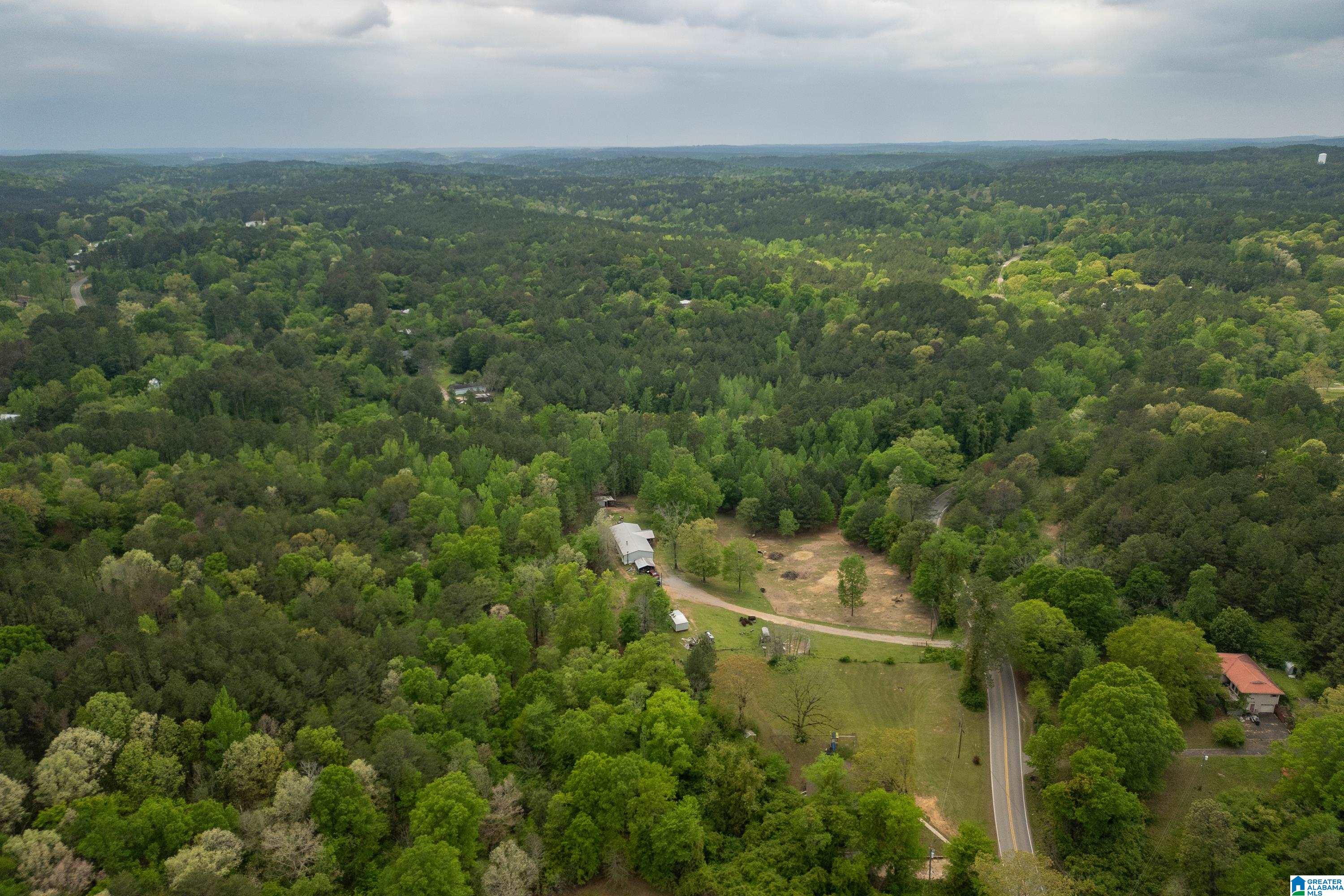 5781 Mud Creek Road Adger, AL 35006 - Photo 28 of 36
