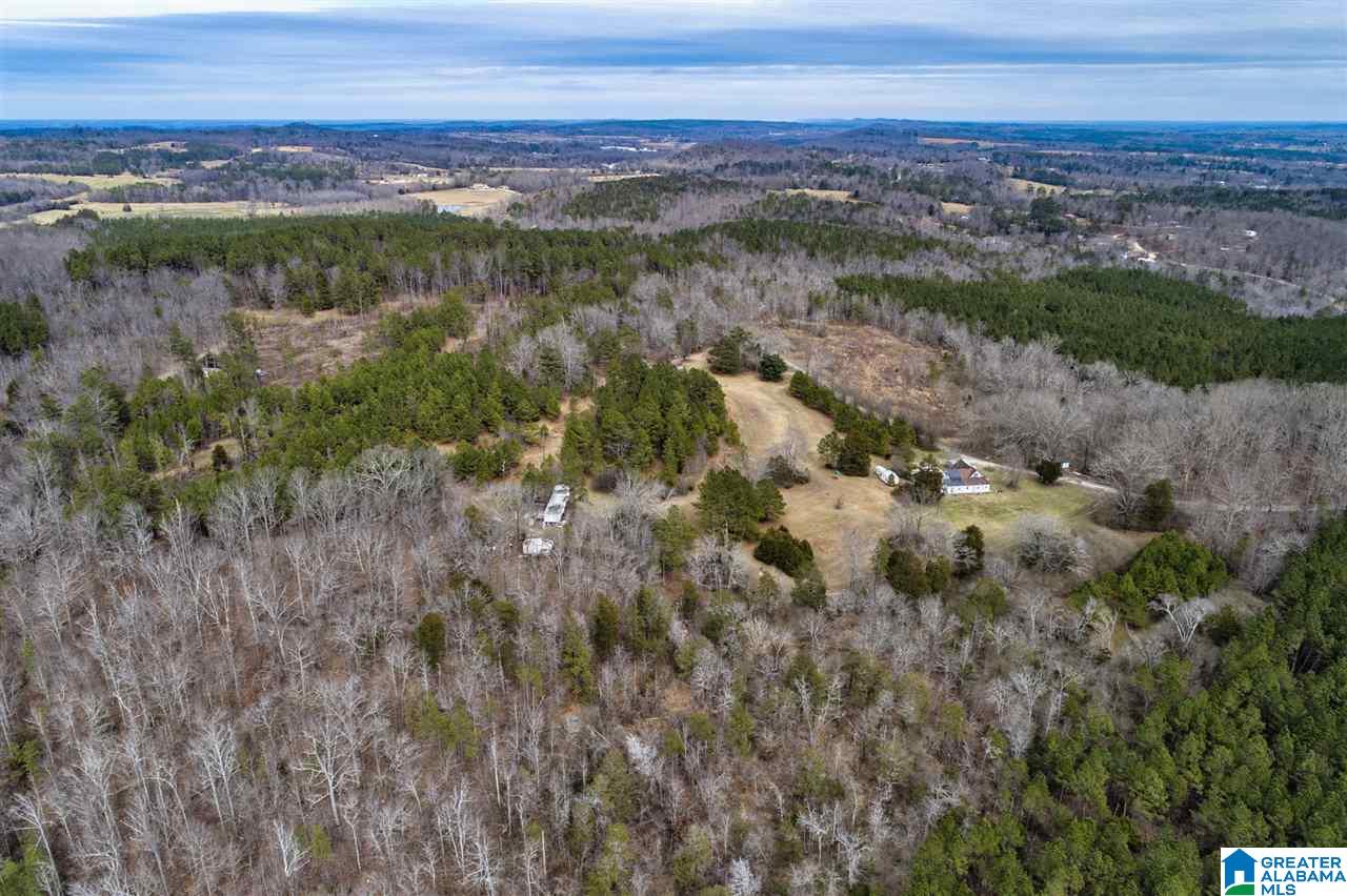 620 Chief Albert Road Blountsville, AL 35031 - Photo 4 of 15