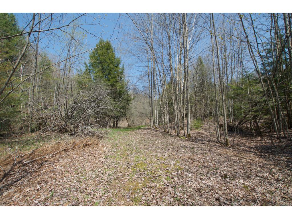 0 Ring Road Waterbury Center, VT 05677 - Photo 17 of 24