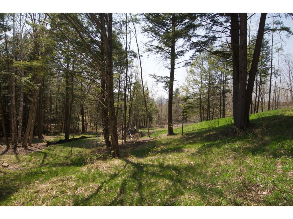 0 Ring Road Waterbury Center, VT 05677 - Photo 4 of 24