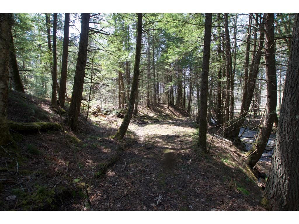 0 Ring Road Waterbury Center, VT 05677 - Photo 7 of 24
