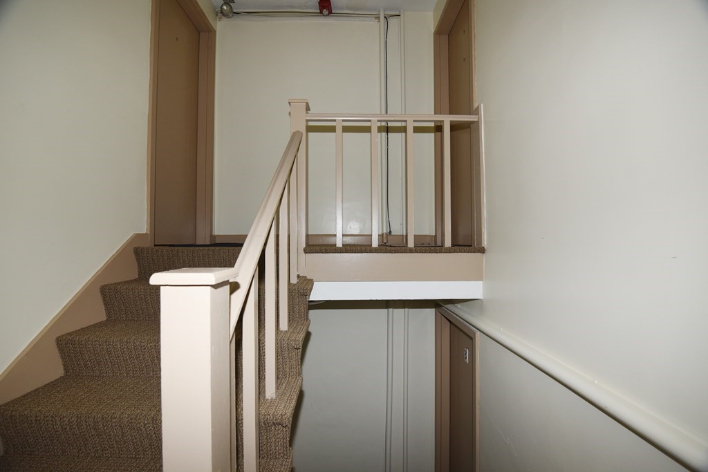 55 Colborne Road, Unit 5 Boston, MA 02135 - Photo 12 of 13 Gallery Image 12