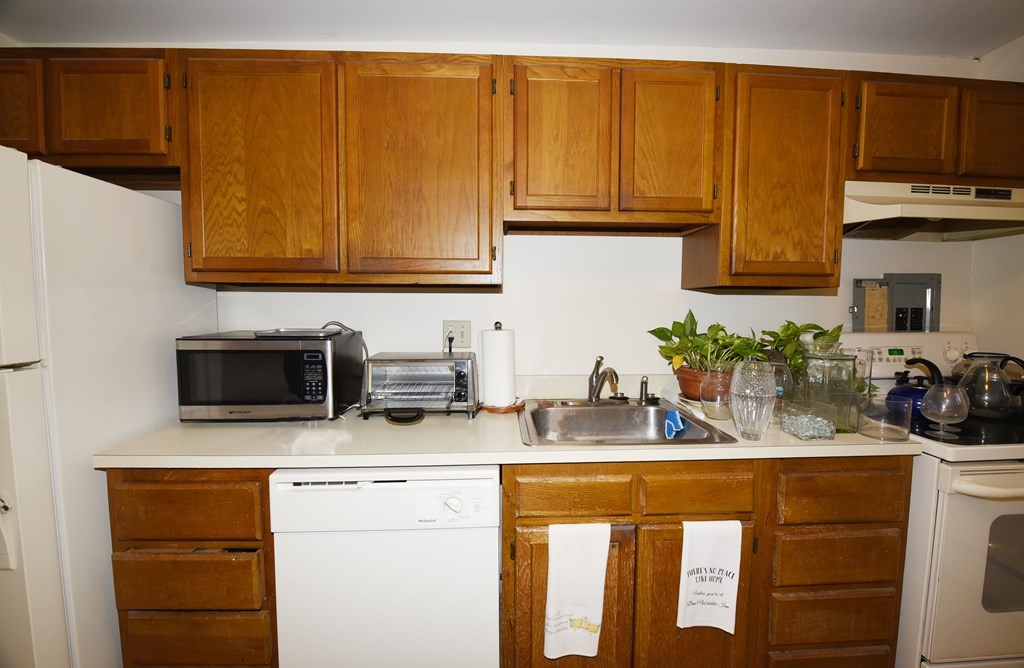 55 Colborne Road, Unit 5 Boston, MA 02135 - Photo 8 of 13 Gallery Image 8