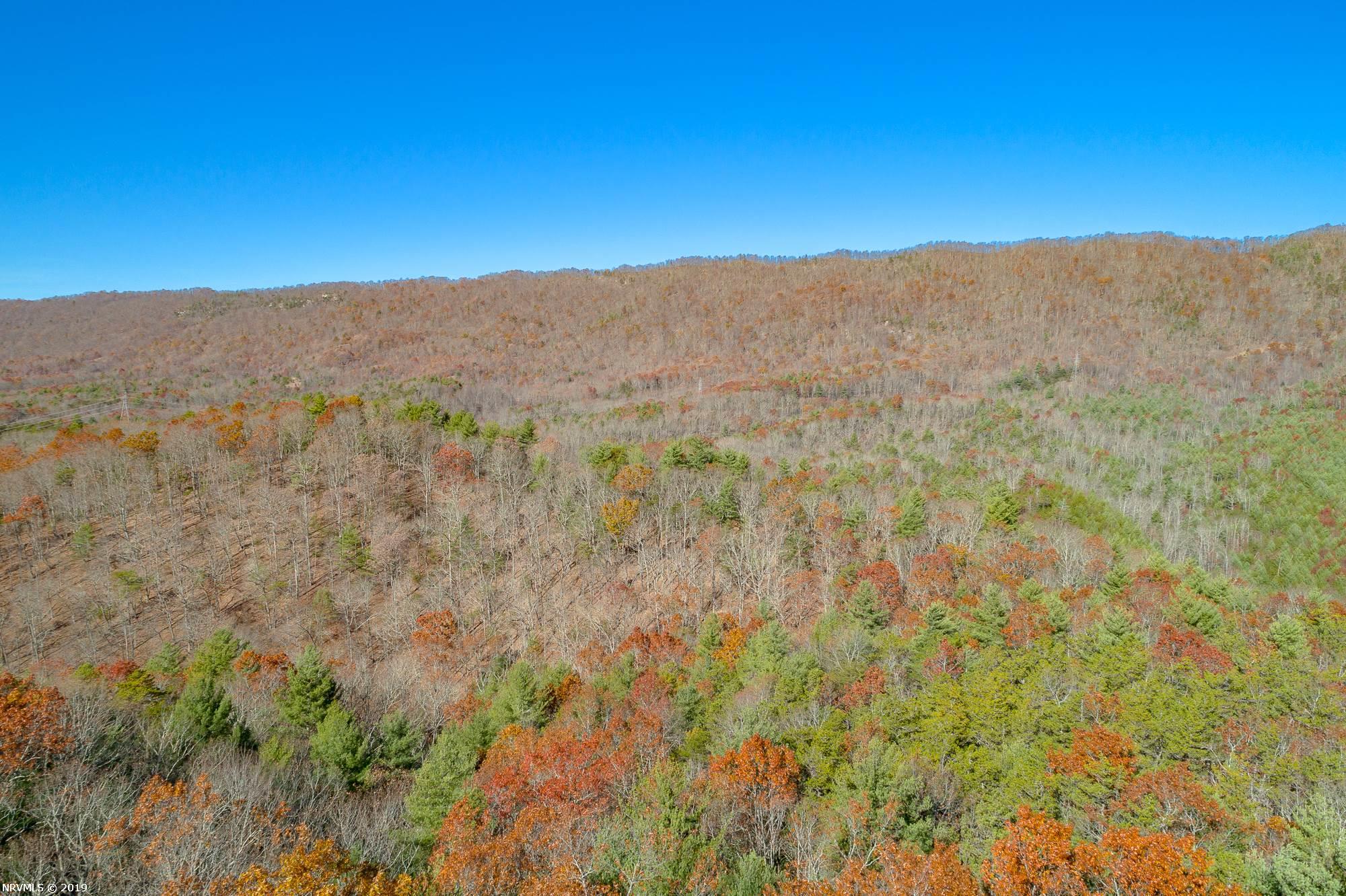 Tbd Mudlick Road Wytheville, VA 24382 - Photo 42 of 44 Gallery Image 42