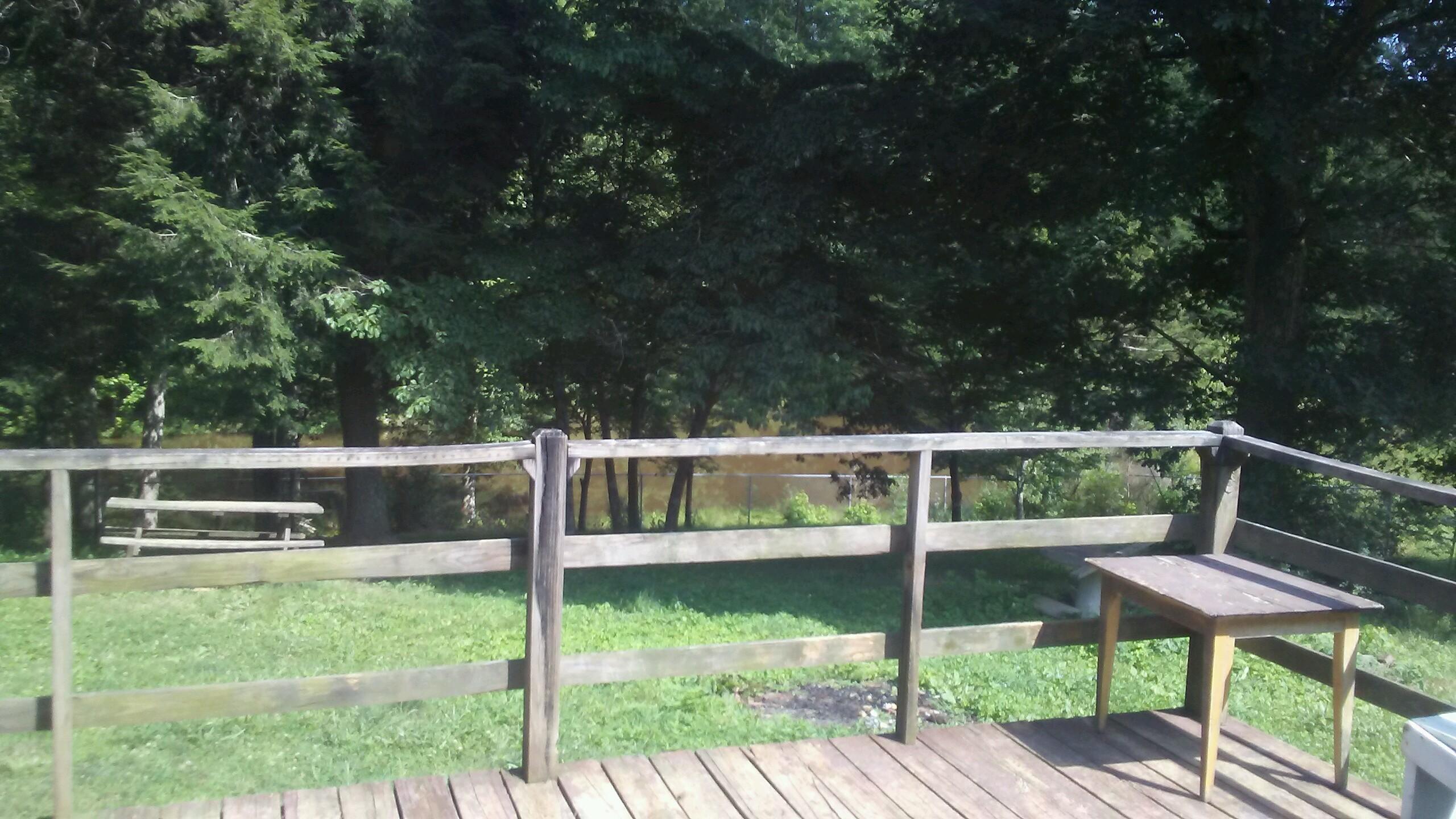 387 Butler Road Robbins, TN 37852 - Photo 16 of 30 387 Butler Rd (17)