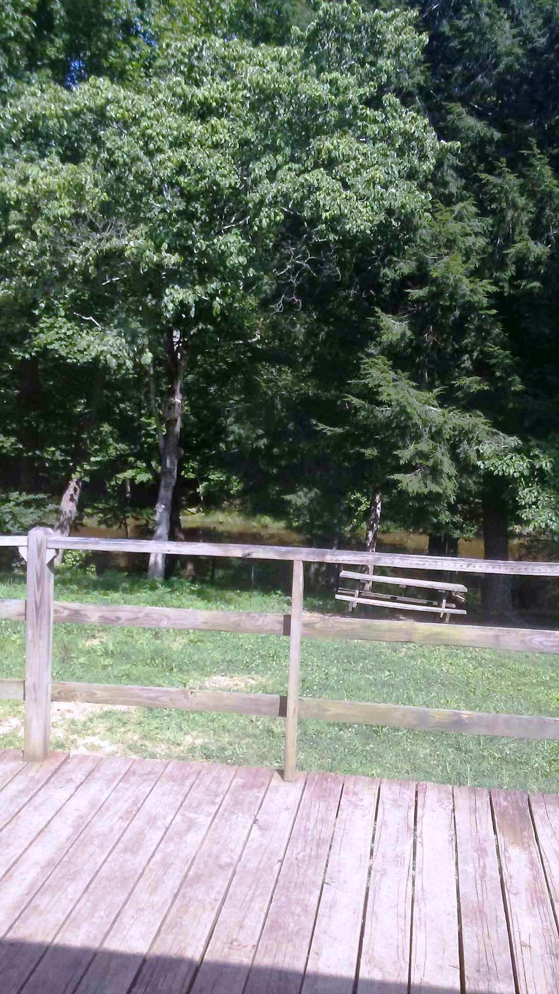 387 Butler Road Robbins, TN 37852 - Photo 18 of 30 387 Butler Rd (20)