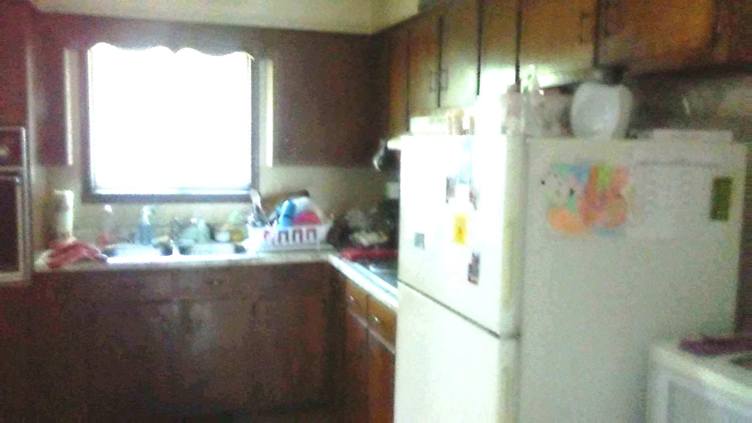 387 Butler Road Robbins, TN 37852 - Photo 21 of 30 387 Butler Rd (23)