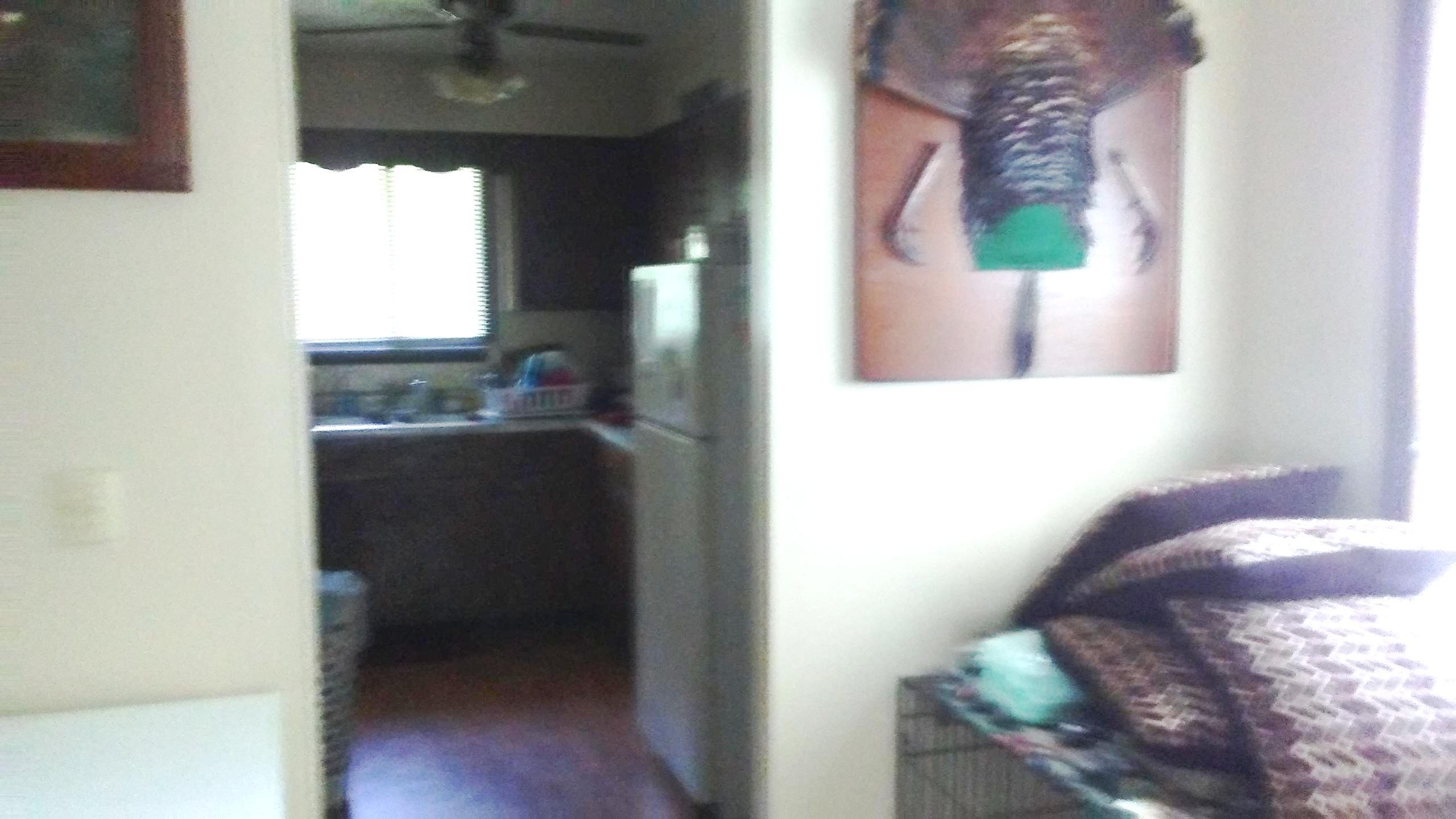 387 Butler Road Robbins, TN 37852 - Photo 22 of 30 387 Butler Rd (24)