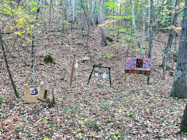 $386,000 | 674 North Michigan Avenue, Wellston, MI 49689