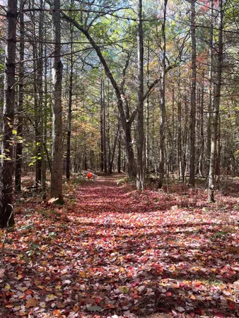 $386,000 | 674 North Michigan Avenue, Wellston, MI 49689