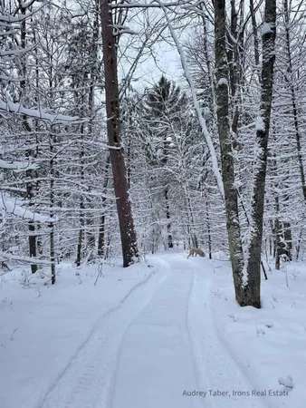 $386,000 | 674 North Michigan Avenue, Wellston, MI 49689