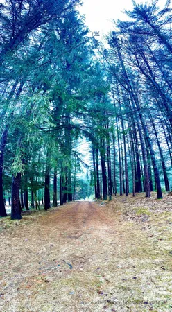 $386,000 | 674 North Michigan Avenue, Wellston, MI 49689