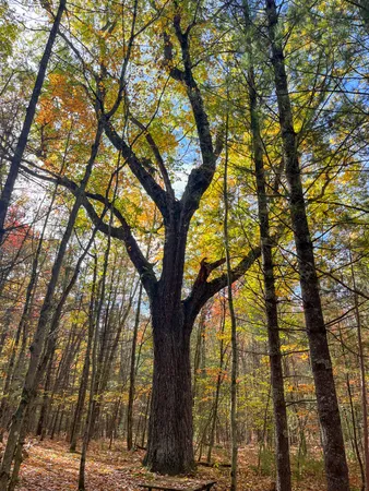 $386,000 | 674 North Michigan Avenue, Wellston, MI 49689