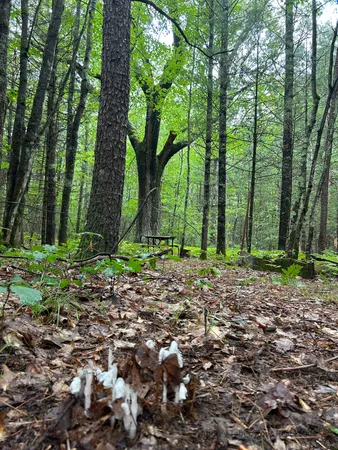 $386,000 | 674 North Michigan Avenue, Wellston, MI 49689