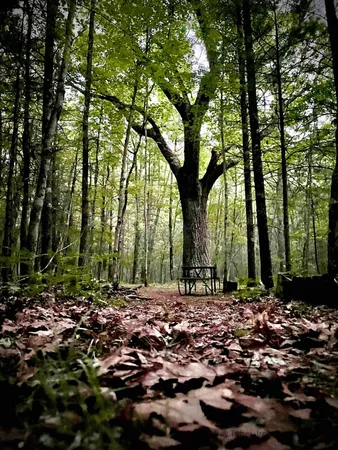 $386,000 | 674 North Michigan Avenue, Wellston, MI 49689