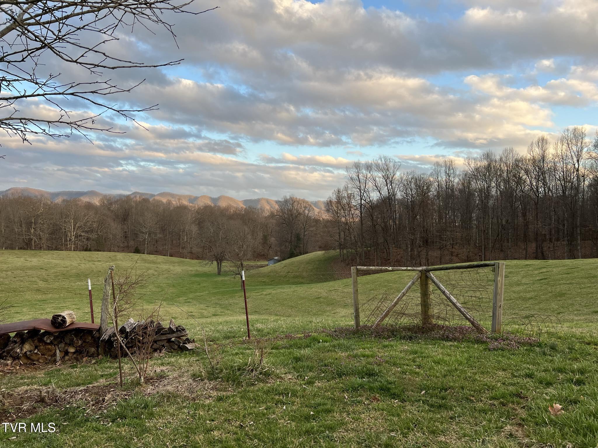 293 Matson Road Jonesborough, TN 37659 - Photo 1 of 1 View
