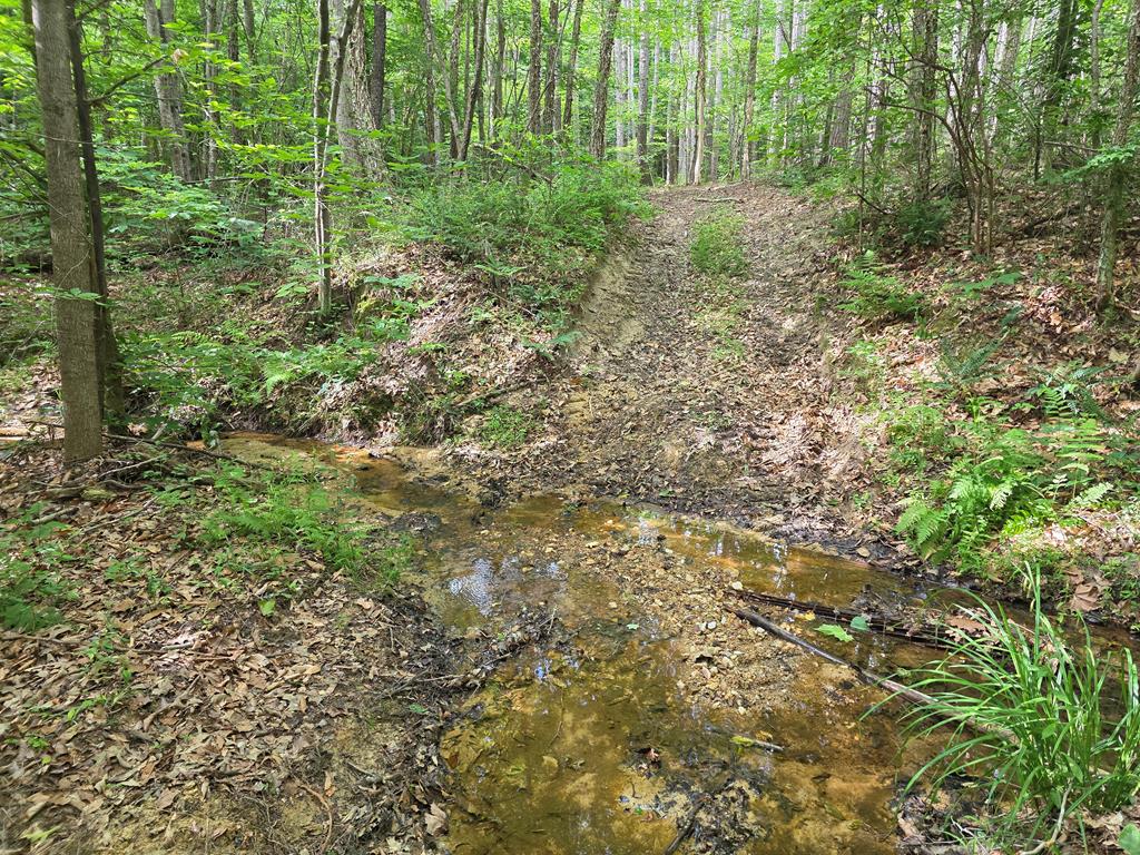 1408 Piney Mountain Road Appomattox, VA 24522 - Photo 64 of 85 Gallery Image 64