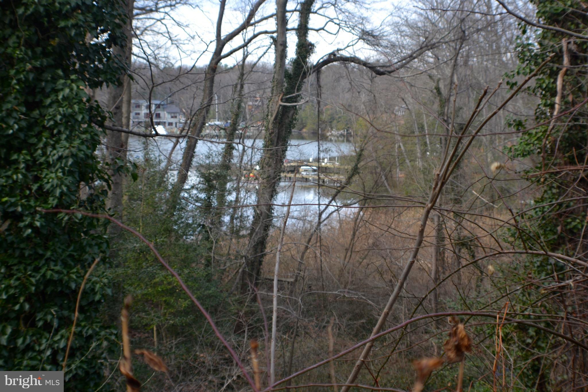 715 Hilltop Road Arnold, MD 21012 - Photo 11 of 27 View From House to the Water