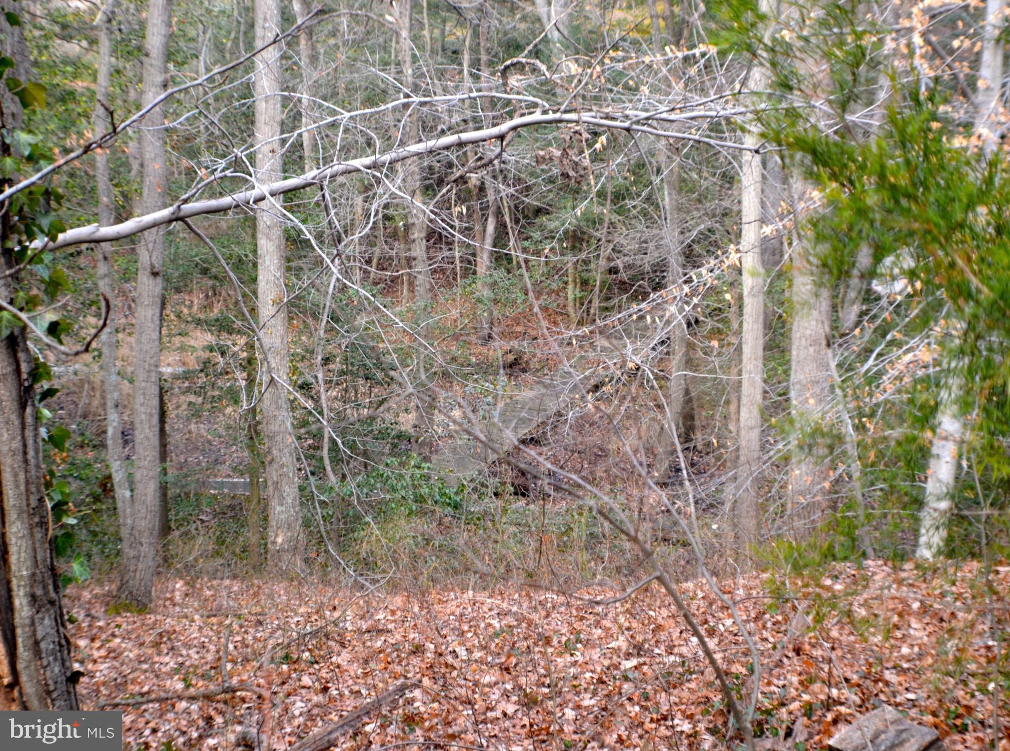 715 Hilltop Road Arnold, MD 21012 - Photo 5 of 27 Backs to Woods