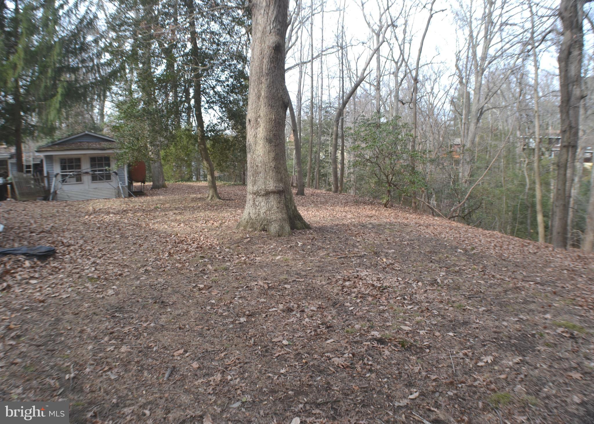 715 Hilltop Road Arnold, MD 21012 - Photo 7 of 27 Exterior (Rear)