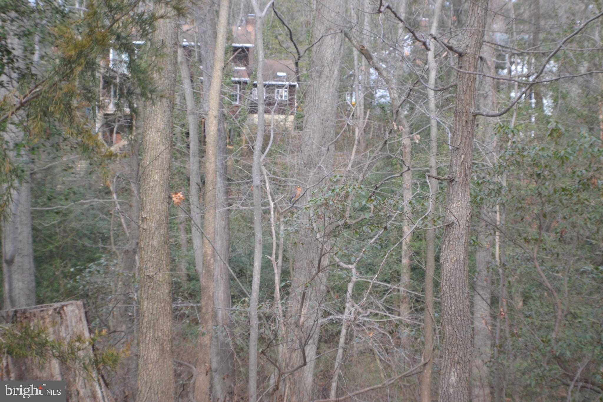 715 Hilltop Road Arnold, MD 21012 - Photo 10 of 27 Backs to Woods