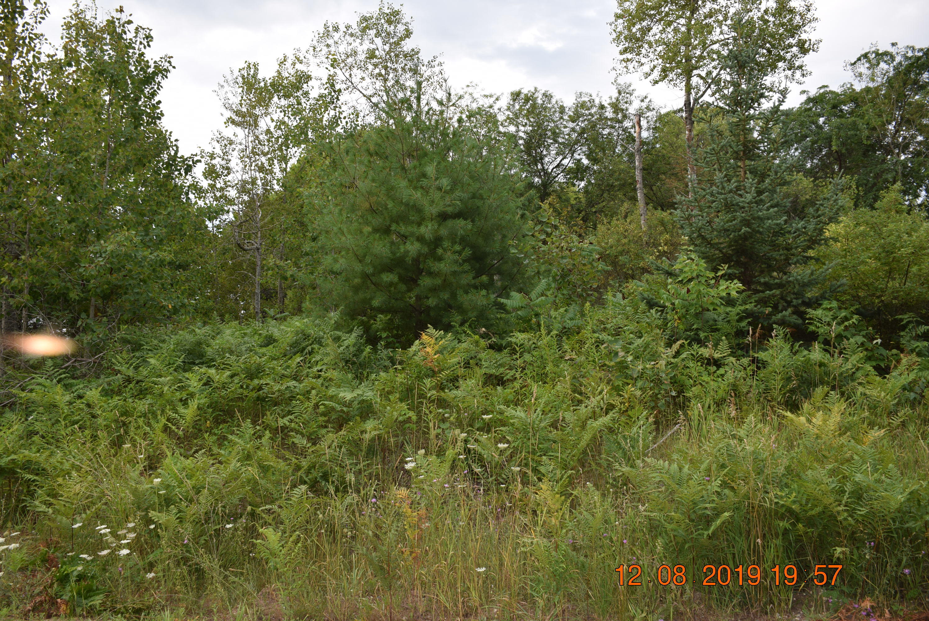 Terrace Street Alanson, MI 49706 - Photo 8 of 9 Gallery Image 8