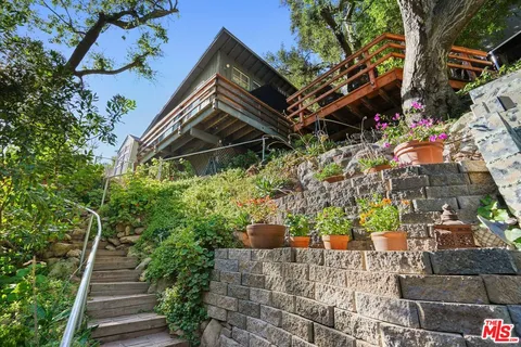a view of a forest with a tree