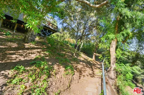 a view of a yard with plants and wooden fence