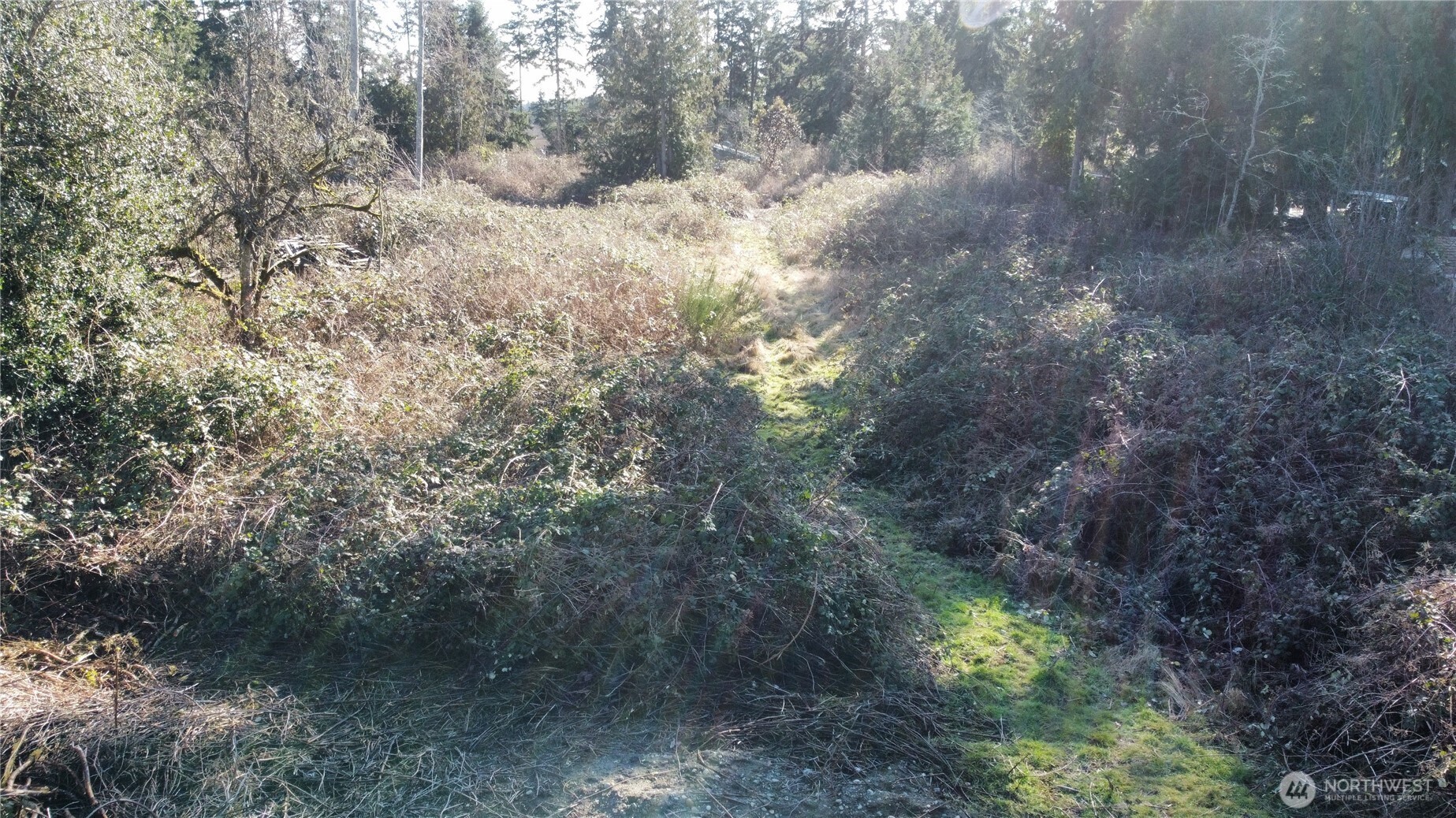 1210 Irondale Road Port Hadlock, WA 98339 - Photo 10 of 19 Gallery Image 10